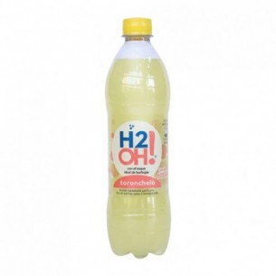 H2OH X 600ML TORONCHELO