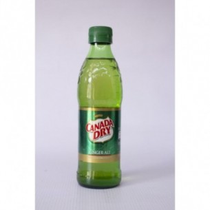 CANADA DRY GINGER X 300ML